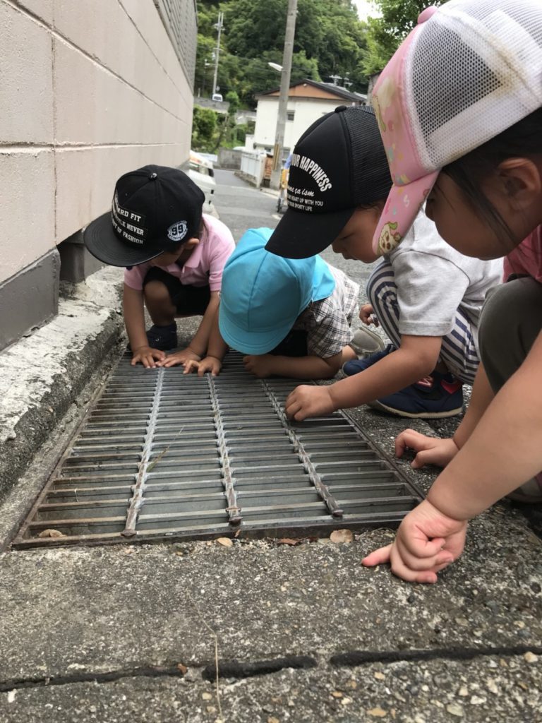 なにがあるかな