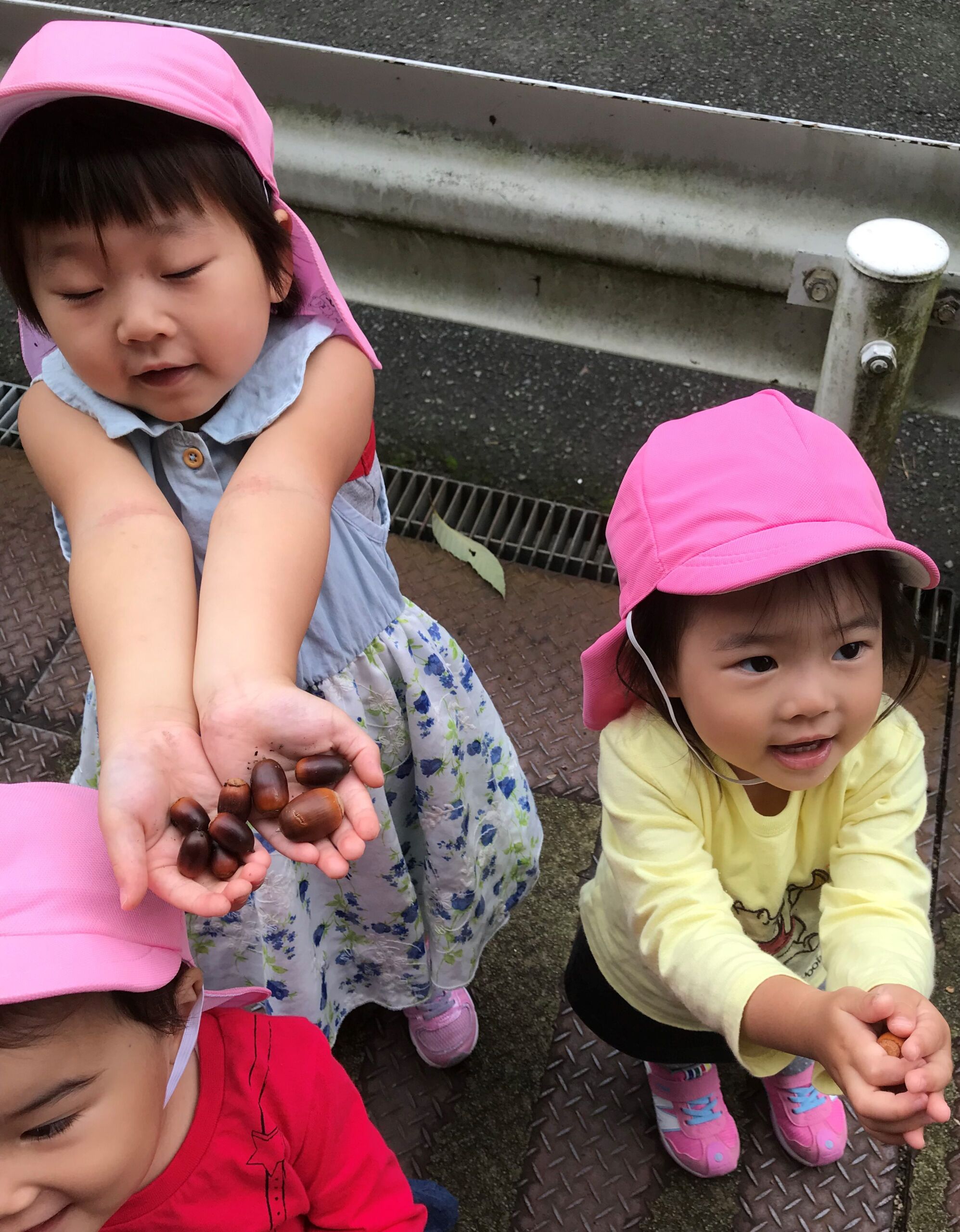 今日の様子　朝の会、散歩