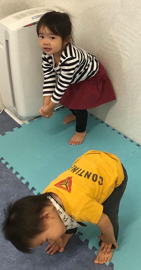 今日の様子