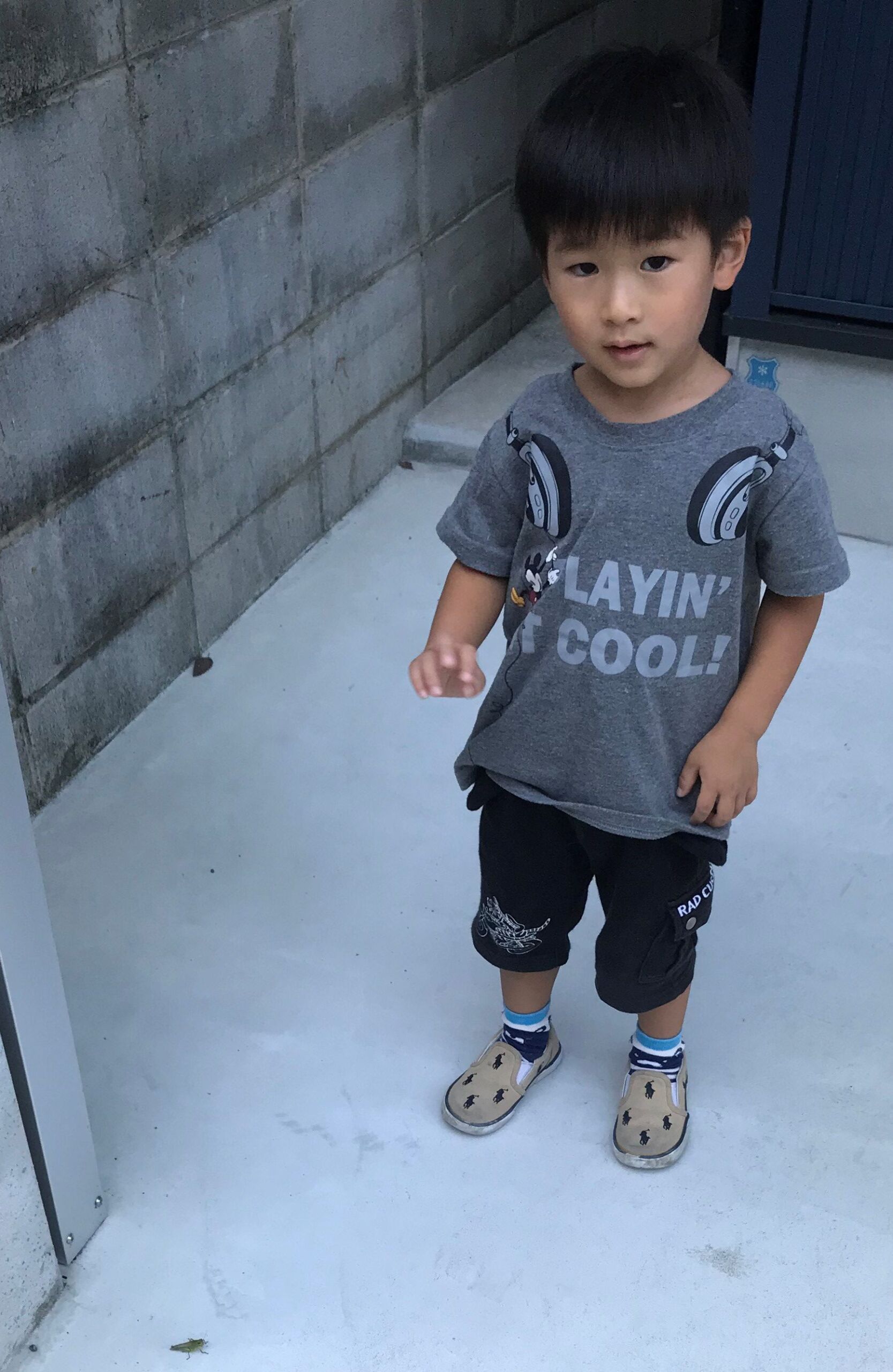 今日の様子 バッタ見っけ
