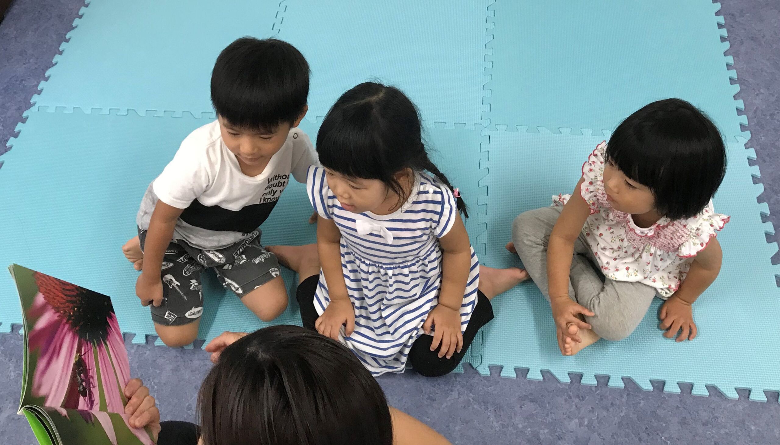 今日の様子