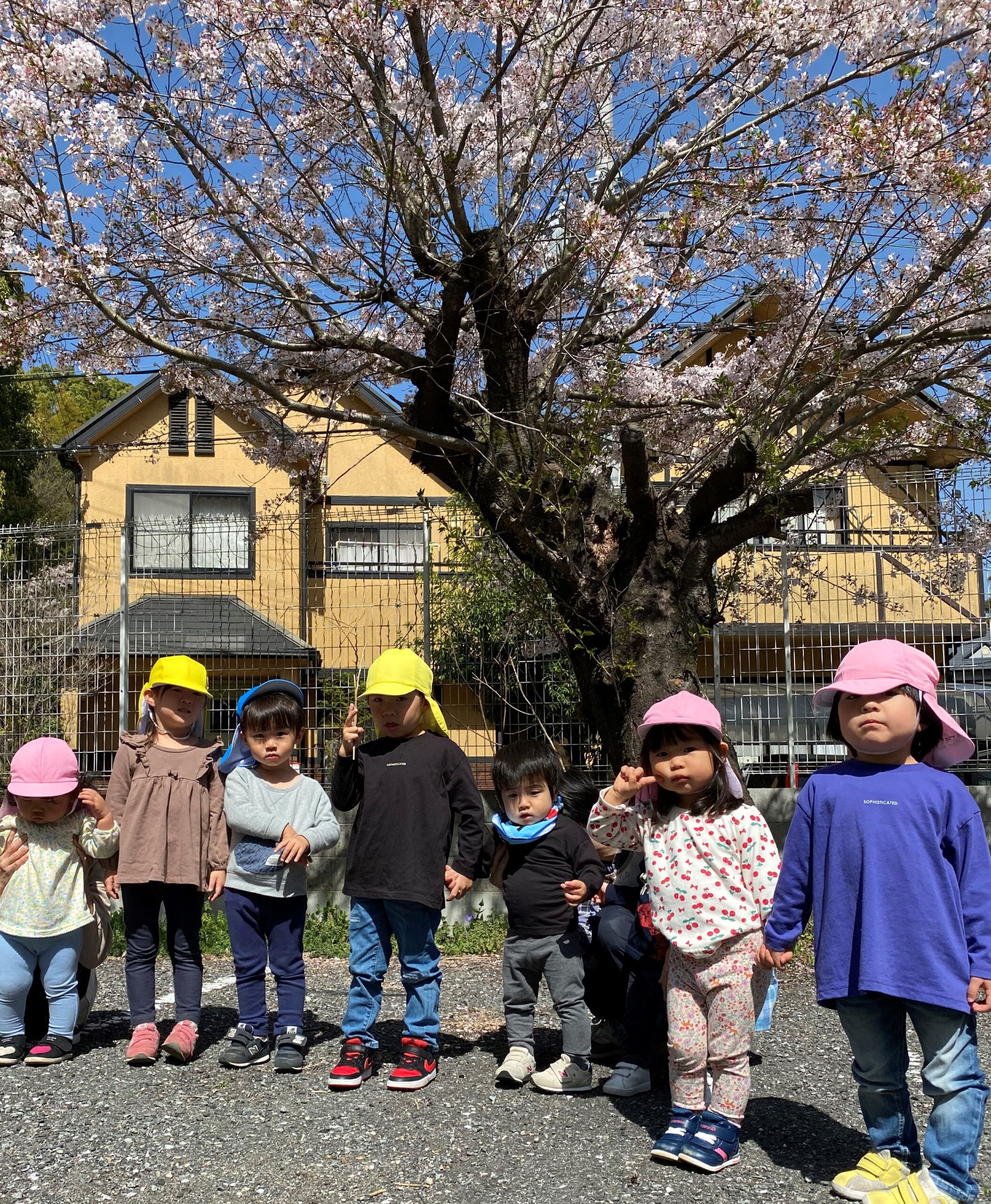 4月スナップ写真