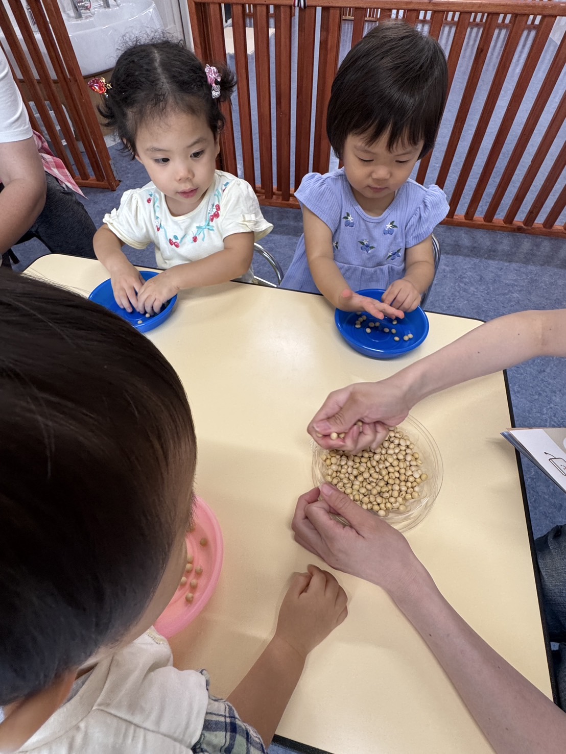 食育活動「豆腐作り」