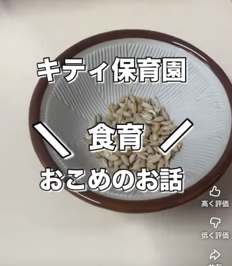 🌾✨“はじめての稲”に興味津々！食育で脱穀体験をしました